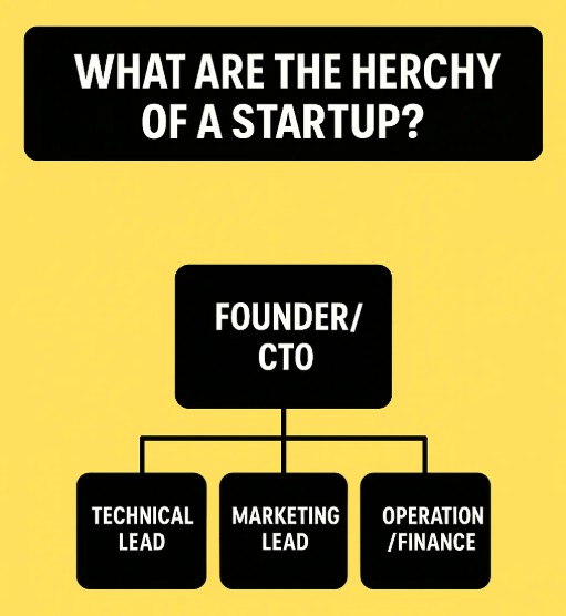 Typical startup organizational chart.